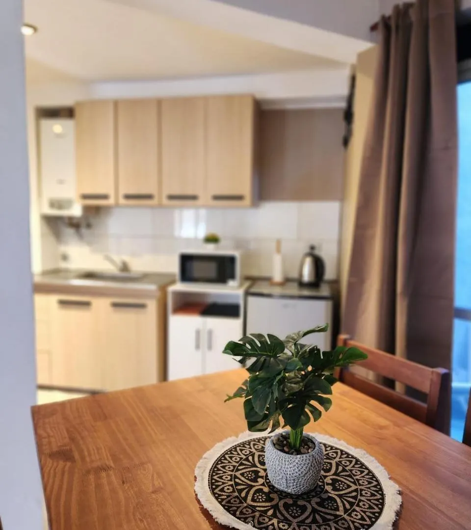 Departamento Ciudad De Mendoza Calle Rondeau شقة